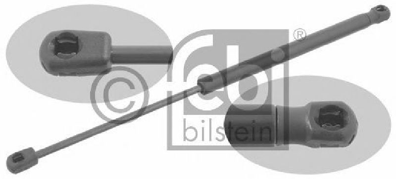 FEBI BILSTEIN 14061 - Gas Spring, boot-/cargo area Left and right