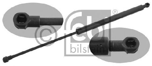 FEBI BILSTEIN 14063 - Gas Spring, boot-/cargo area Left and right