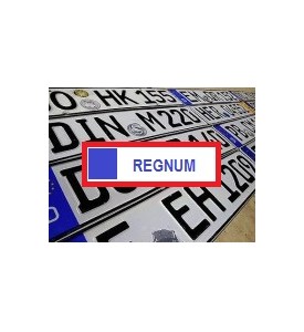 Development of panel to integration of REGNUM / VIN services in your shop